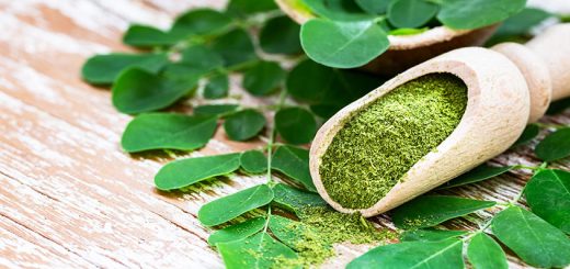 Moringa