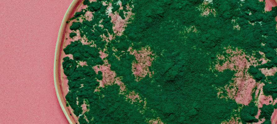 Algi - Spirulina i Chlorella