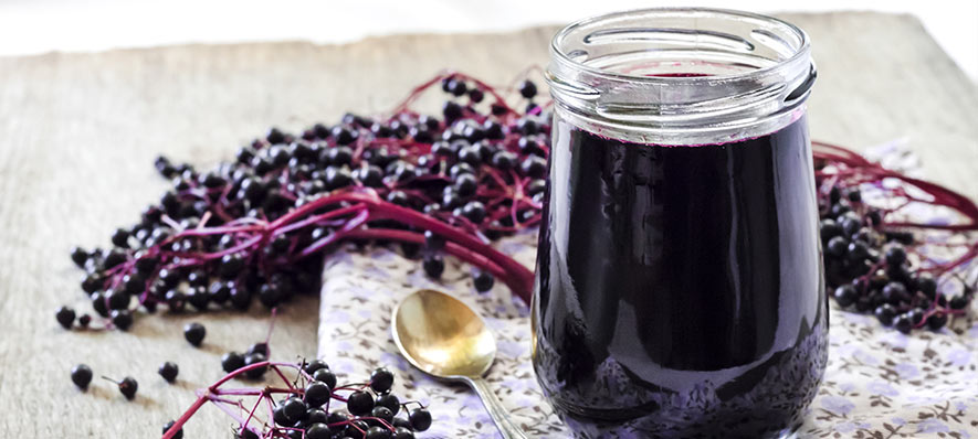 Czarny bez