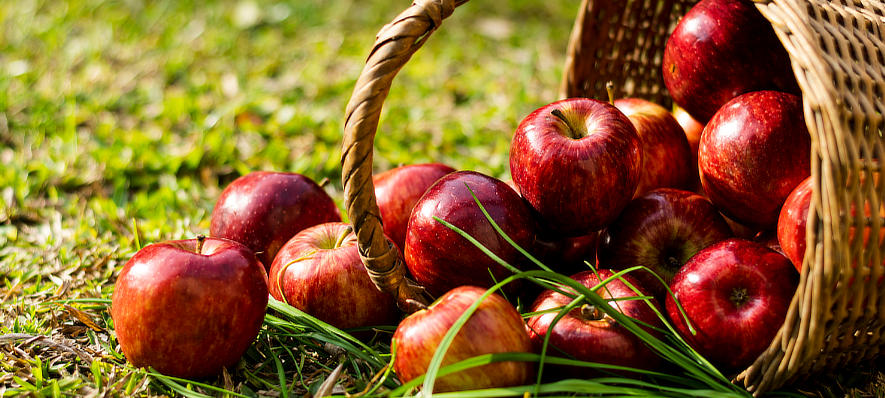 Dlaczego warto jeść jabłka? - Żyj zdrowo, jedz zdrowo - blog ze Straganu o zdrowym życiu i odżywianiu