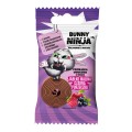 Bunny Ninja - 15774.jpg