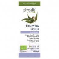 Physalis - Olejek eteryczny eucalyptus radiata (eukaliptus australijski) BIO 10ml