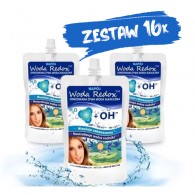 16x Woda Redox 240ml