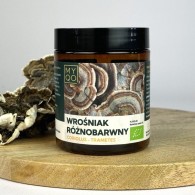 MYQO - Coriolus Versicolor - Wrośniak Różnobarwny - Trametes versicolor BIO 30% 100g