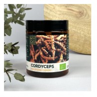 MYQO - Cordyceps sinensis - Maczużnik chiński BIO 30% 100g