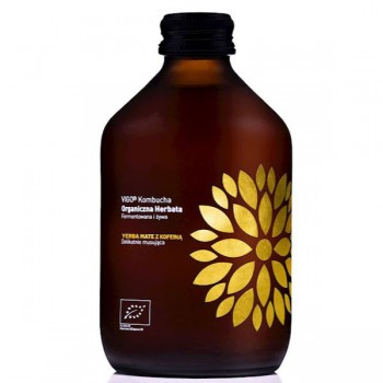 Vigo | Kombucha z yerbą mate bezglutenowa BIO 330ml