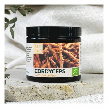 MYQO | Cordyceps sinensis - Maczużnik chiński BIO 30% 90kaps.