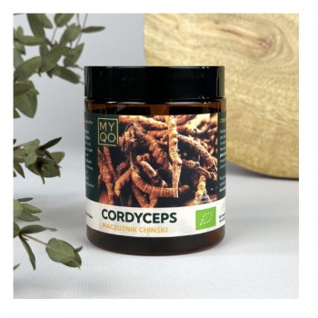 MYQO | Cordyceps sinensis - Maczużnik chiński BIO 30% 100g